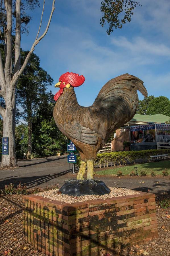 Maleny Hills Motel Exterior foto